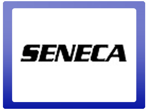 Jayco Seneca